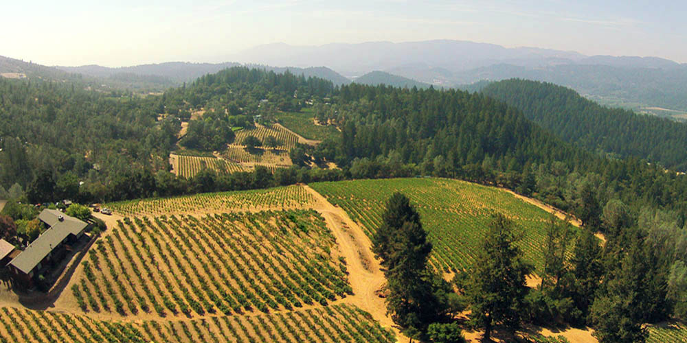 Burgess Cellars Burgess Vineyards