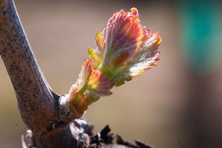 march